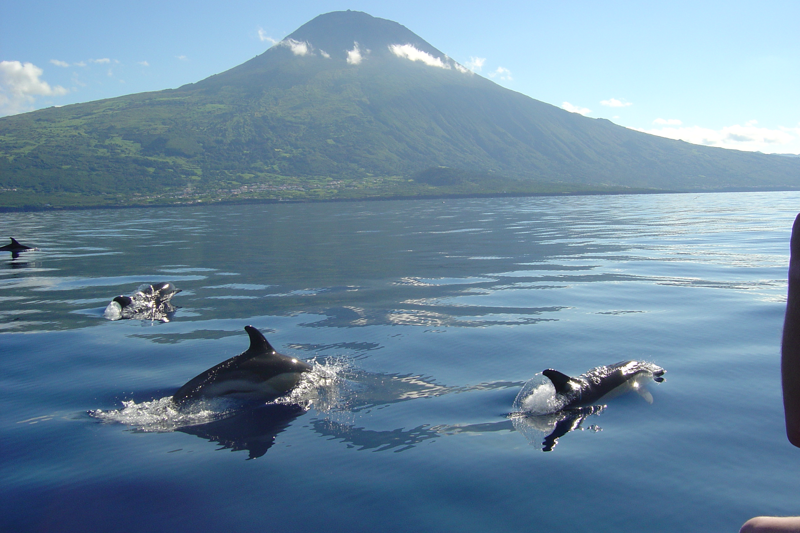 Azore_Photo by Norberto Diver - Azores Turismo