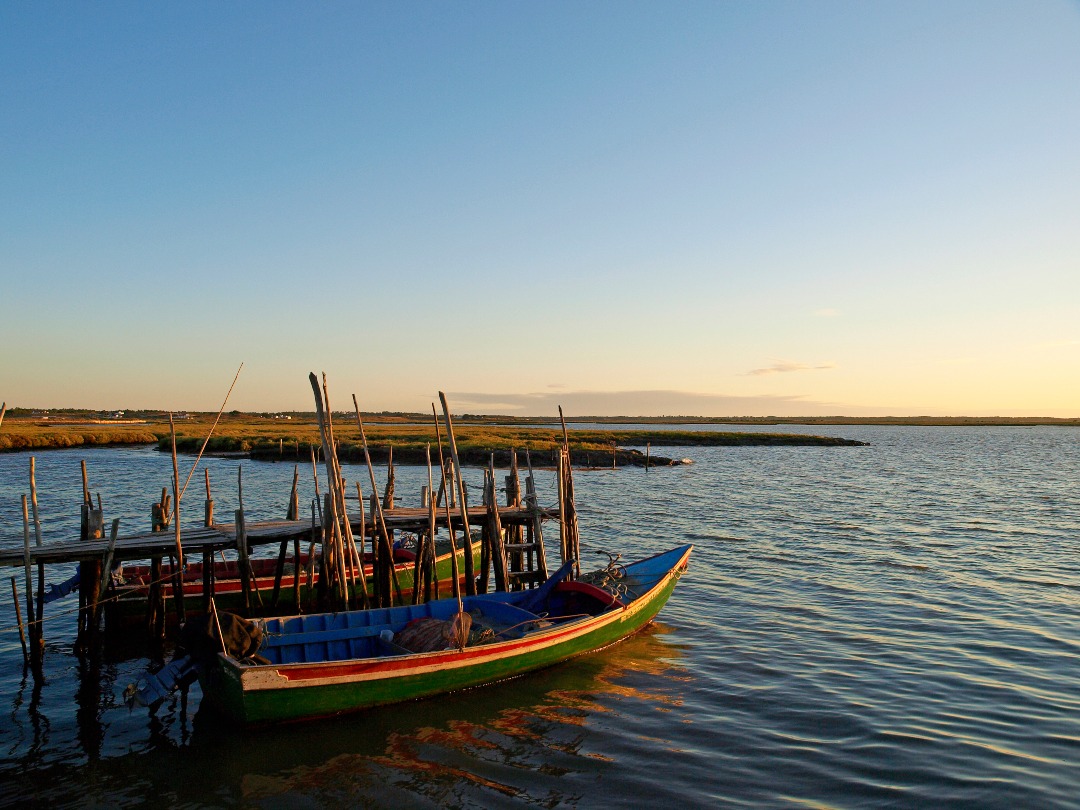 Historical Harbor, Comporta_creditsJoãoNunesdaSilva