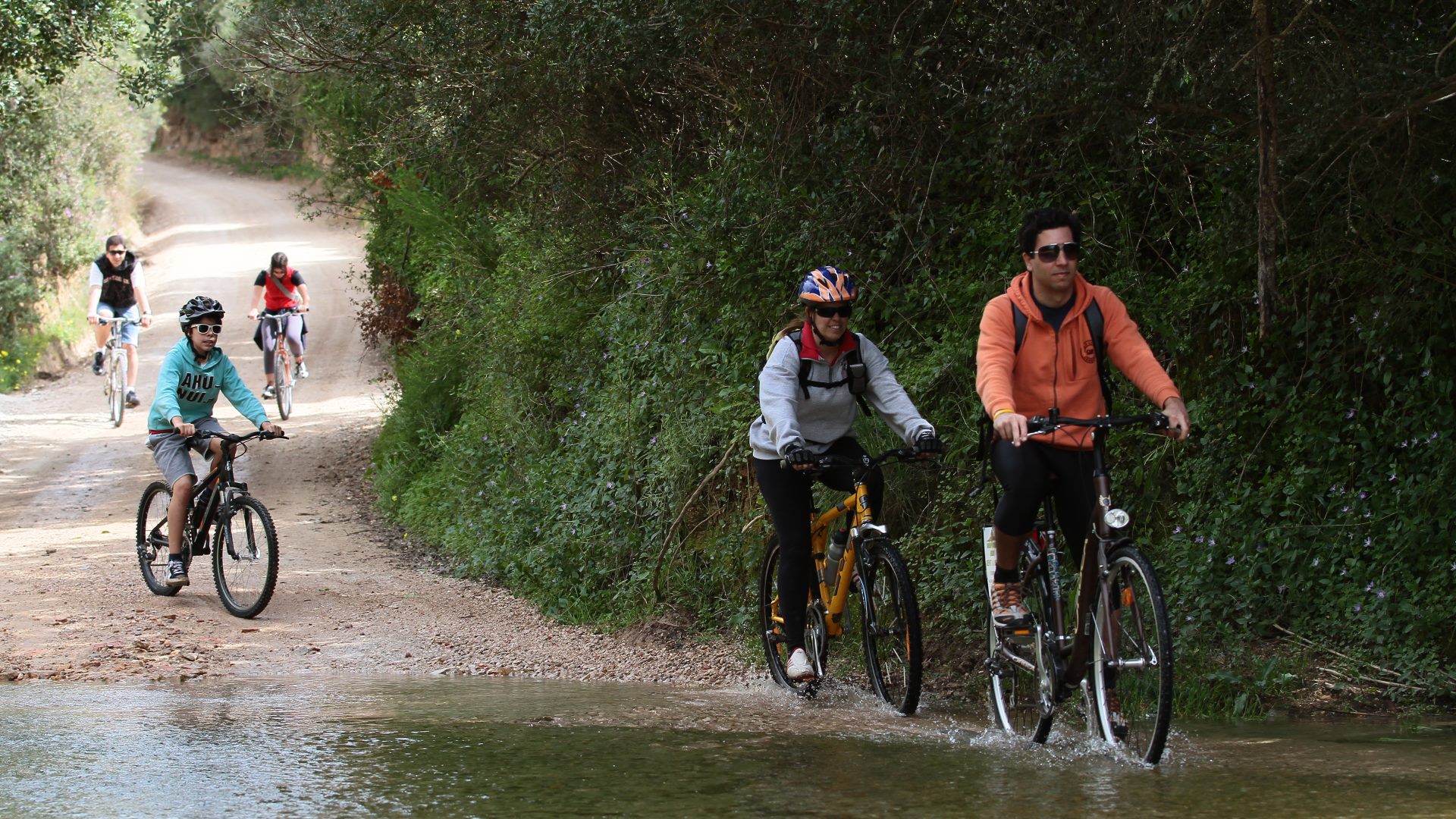 Abílio Bikes Shop & Rentals