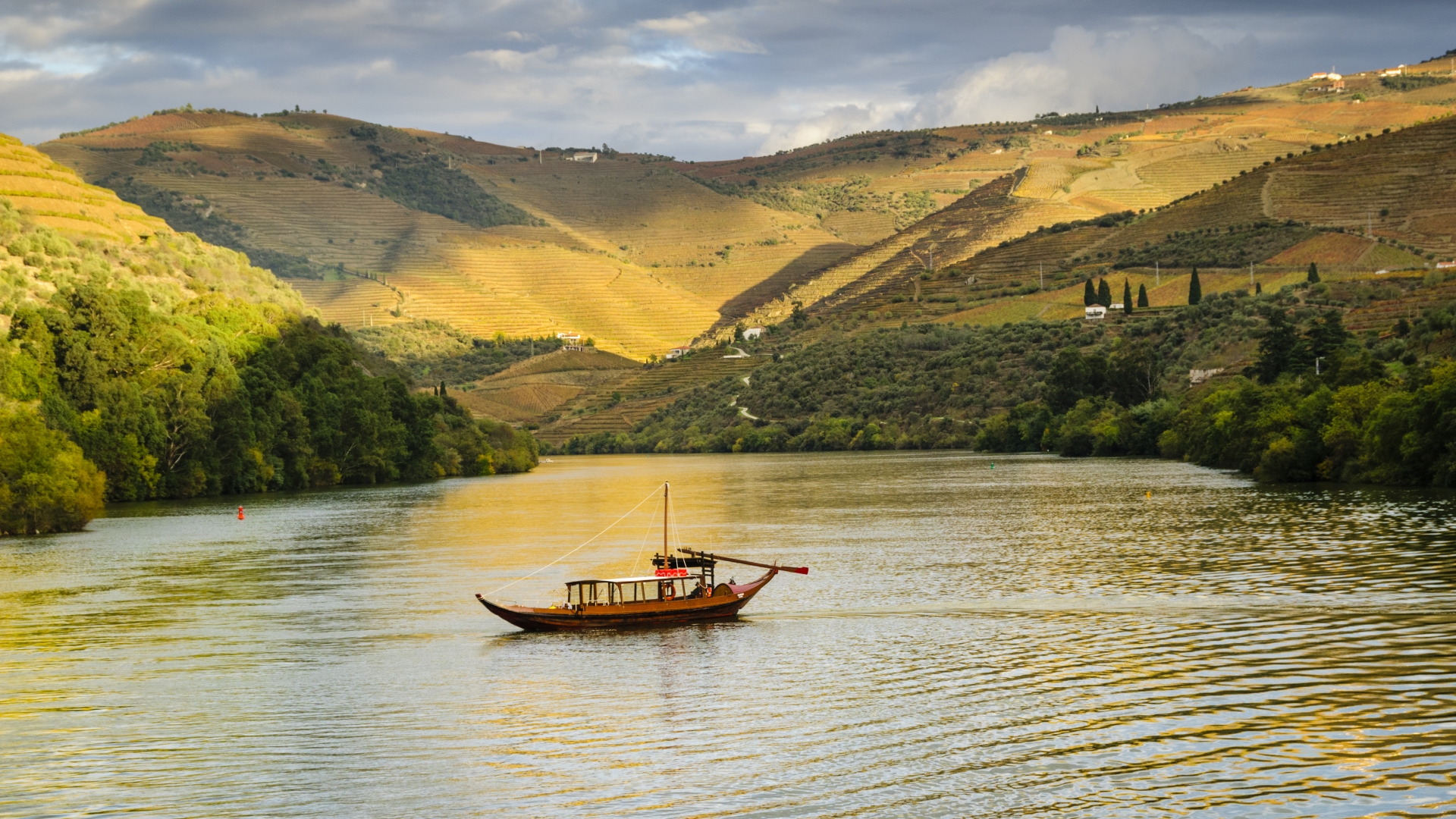 Cruzeiros Douro