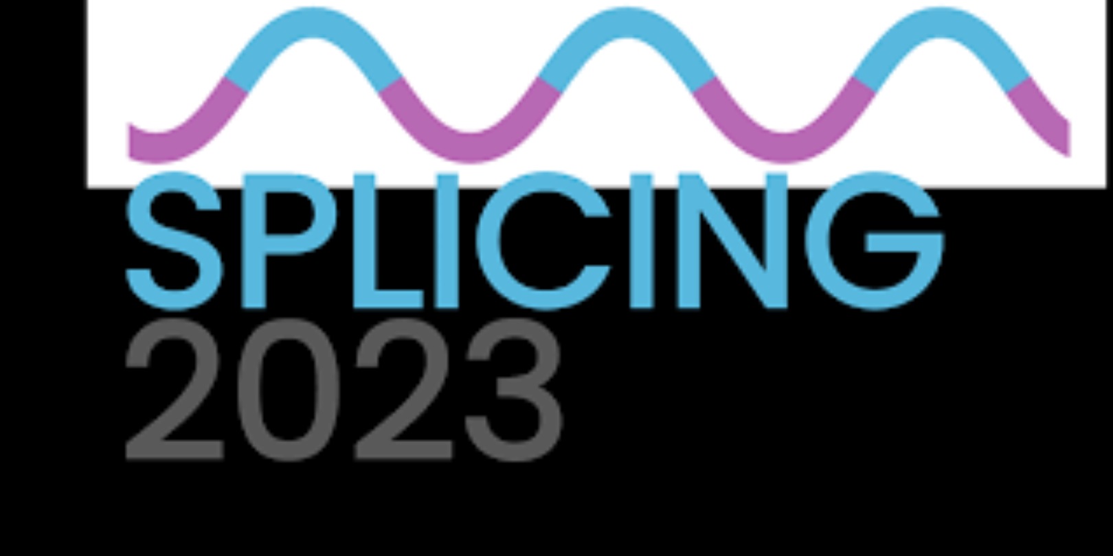 5th. International Caparica Conference in Splicing 2023 | Meetings In ...