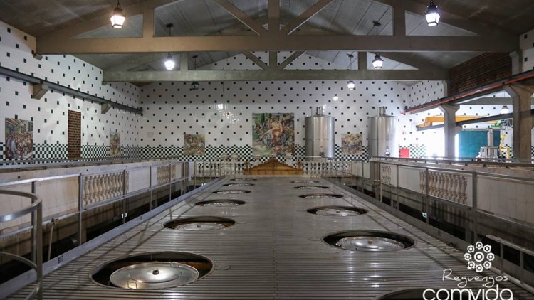 Conferência Internacional da Vinha e do Vinho