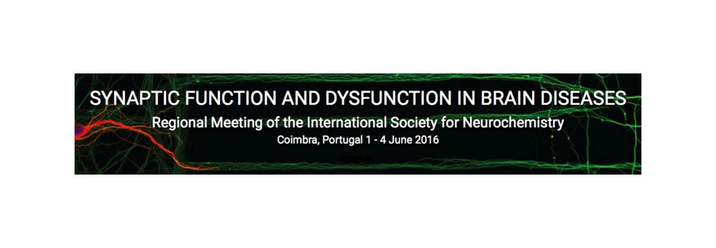 Regional Meeting of ISN