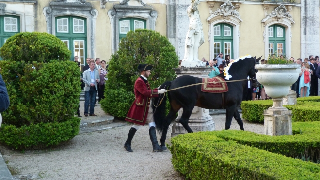 Portugal Travel Team