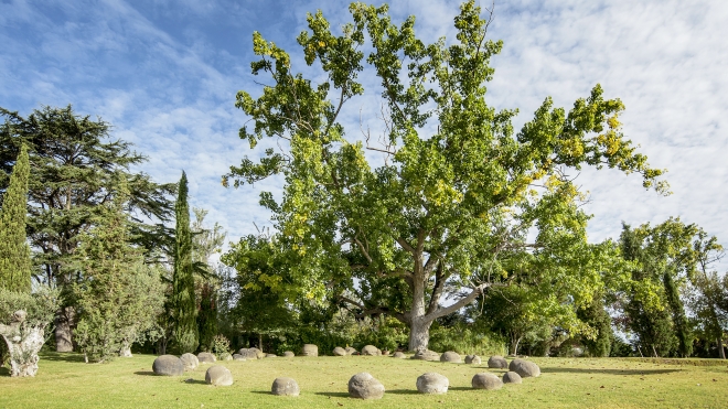 Casa Santos Lima - Companhia das Vinhas, S.A.