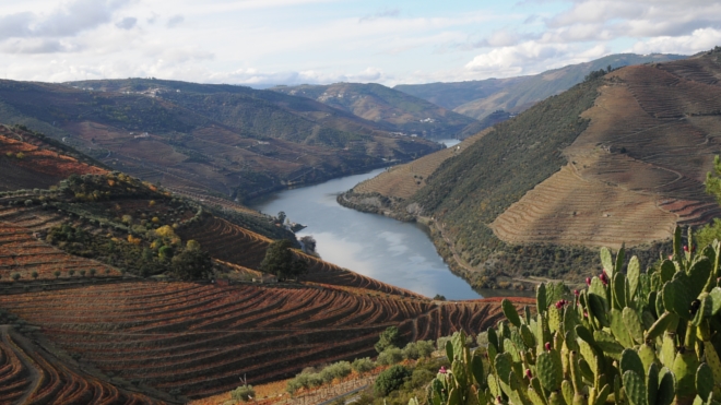 DOURO ACIMA - Cruzeiros Longos
