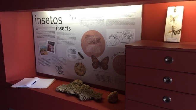 Centro de Interpretação Ambiental Dalberto Pombo/ Casa dos Fósseis