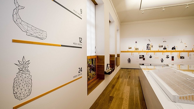 Centro de Interpretação da Cultura do Ananás 