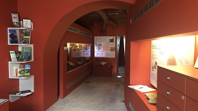 Centro de Interpretação Ambiental Dalberto Pombo/ Casa dos Fósseis