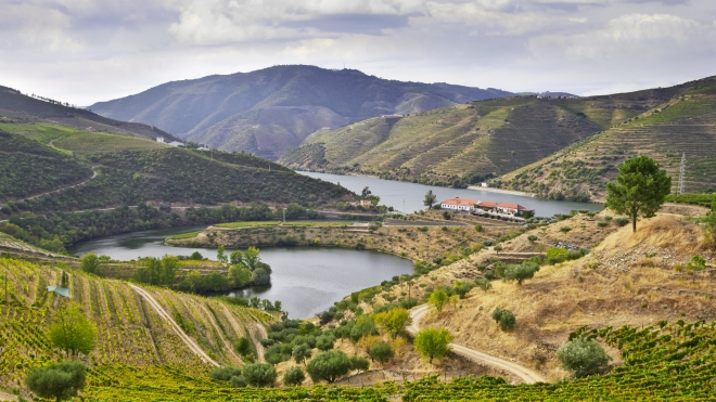 Cruzeiros Douro