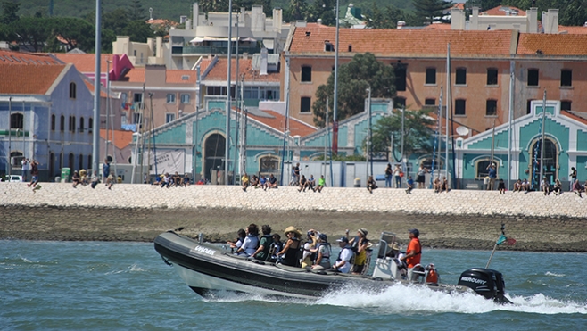 Palmayachts