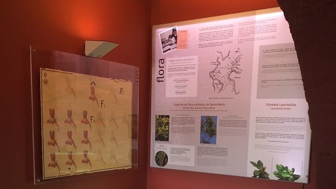 Centro de Interpretação Ambiental Dalberto Pombo/ Casa dos Fósseis