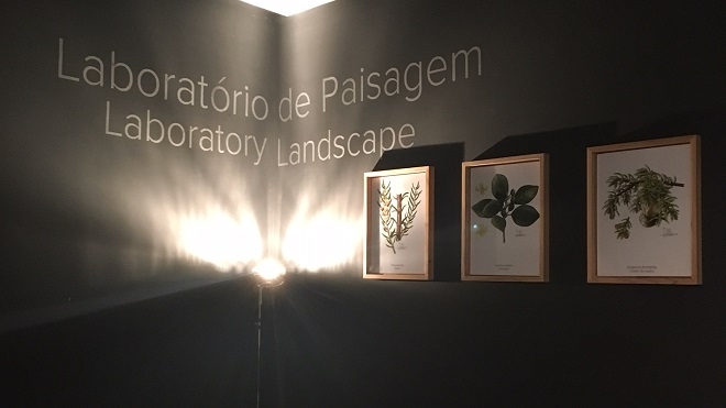 Centro de Monitorização e Investigação das Furnas