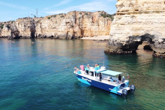 BlueFleet - Blue Cruise