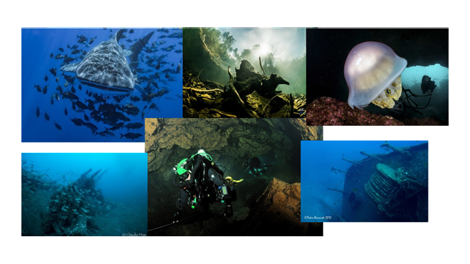 DIVING TALKS 
