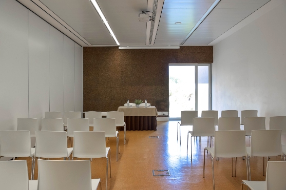 Ecorkhotel - Évora, Suítes & SPA - Sala Évora Cortiça II