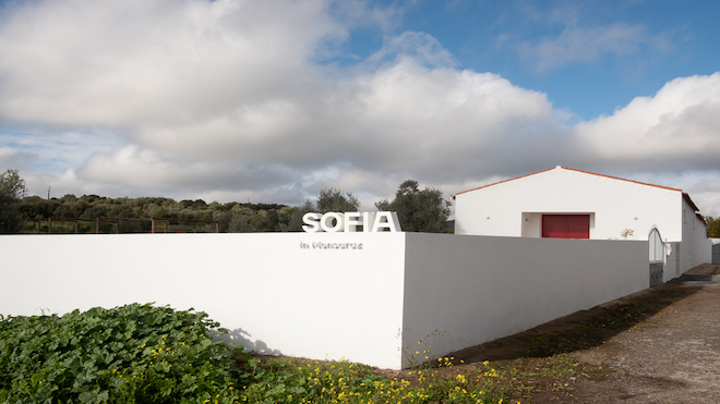 Sofia In Monsaraz