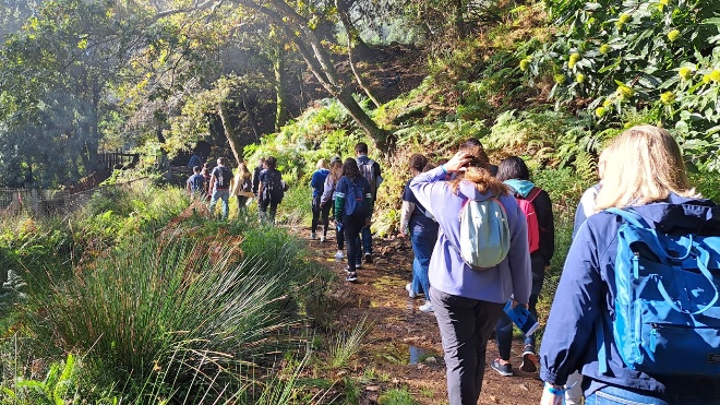 Walking Mentorship