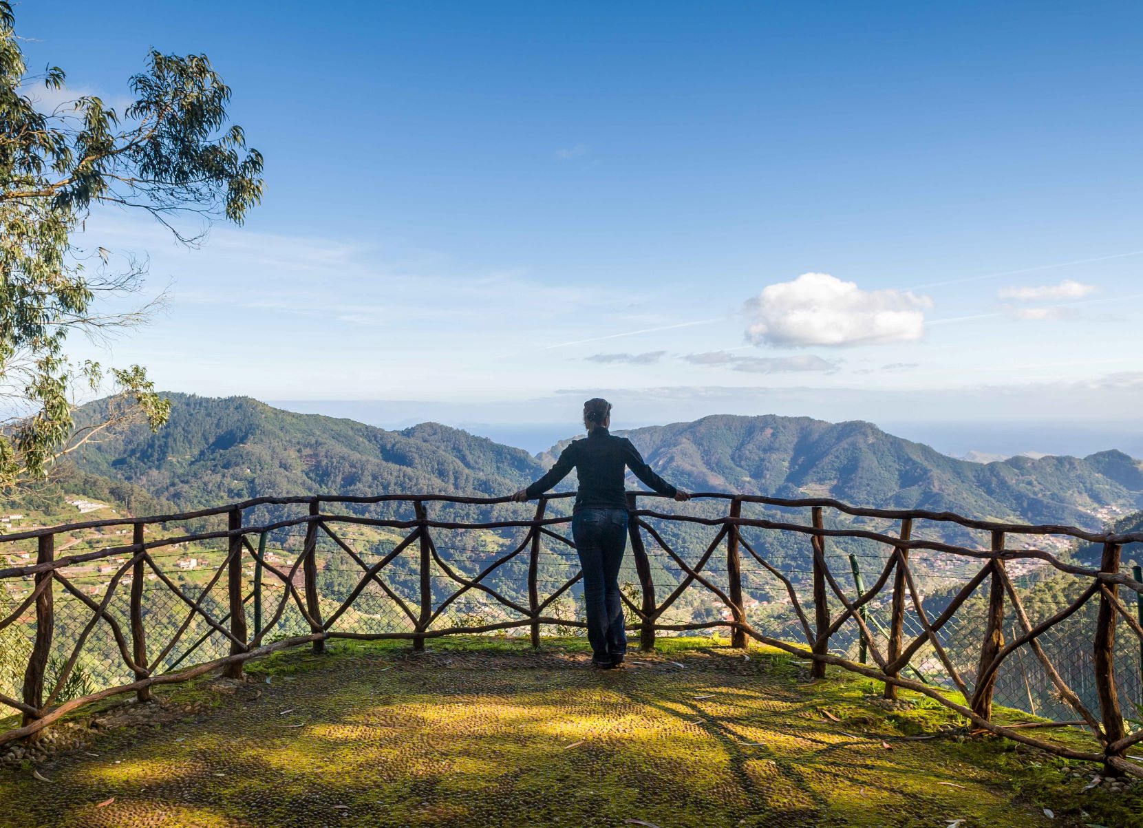 Madeira reabre com segurança e confiança