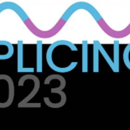 Splicing 2023