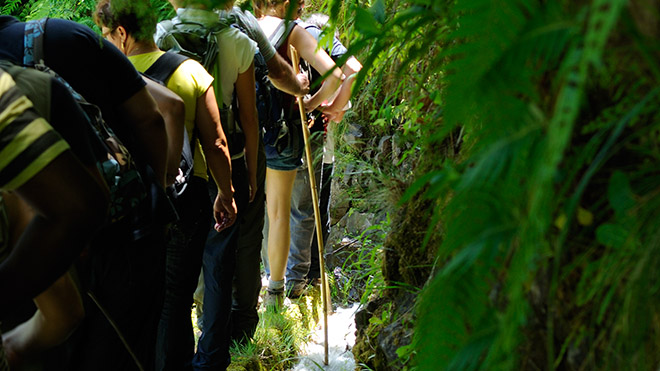 Windsor Travel Group