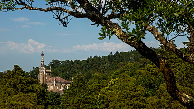 Palace Hotel do Bussaco