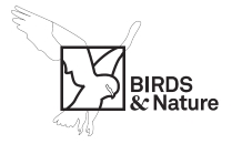 Birds & Nature Tours Portugal
